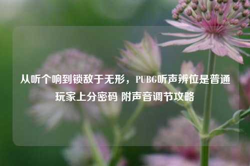 从听个响到锁敌于无形,PUBG听声辨位是普通玩家上分密码 附声音调节攻略