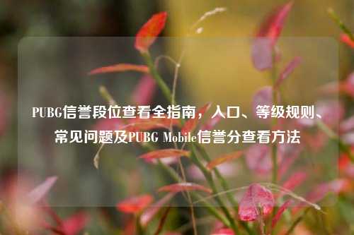 PUBG信誉段位查看全指南,入口、等级规则、常见问题及PUBG Mobile信誉分查看方法
