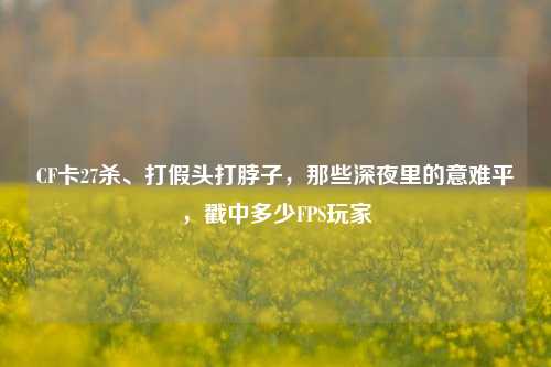 CF卡27杀、打假头打脖子，那些深夜里的意难平，戳中多少FPS玩家
