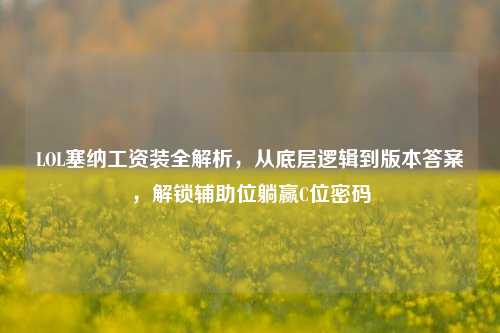 LOL塞纳工资装全解析,从底层逻辑到版本答案,解锁辅助位躺赢C位密码