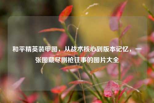 和平精英装甲图,从战术核心到版本记忆,一张图藏尽刚枪往事的图片大全