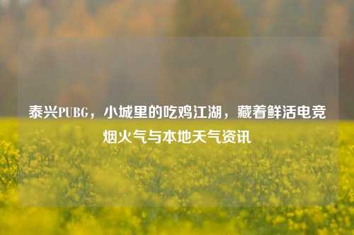 泰兴PUBG,小城里的吃鸡江湖,藏着鲜活电竞烟火气与本地天气资讯