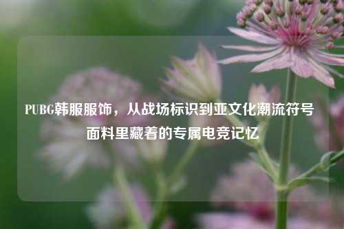 PUBG韩服服饰,从战场标识到亚文化潮流符号 面料里藏着的专属电竞记忆