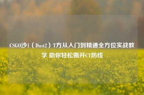 CSGO沙1(Dust2)T方从入门到精通全方位实战教学 助你轻松撕开CT防线