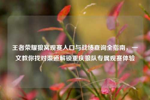 王者荣耀狼窝观赛入口与战绩查询全指南,一文教你找对渠道解锁重庆狼队专属观赛体验