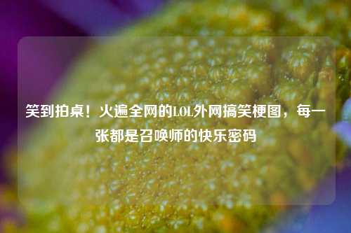 笑到拍桌!火遍全网的LOL外网搞笑梗图,每一张都是召唤师的快乐密码