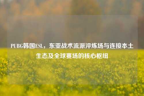 PUBG韩国ESL，东亚战术流派淬炼场与连接本土生态及全球赛场的核心枢纽