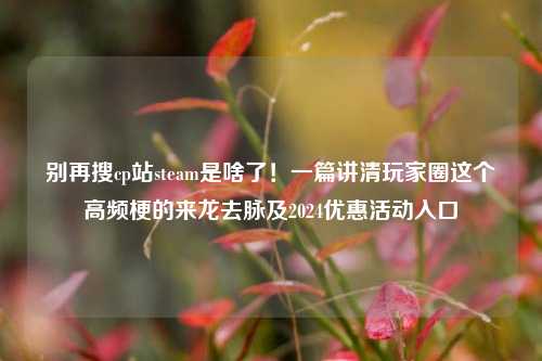 别再搜cp站steam是啥了!一篇讲清玩家圈这个高频梗的来龙去脉及2024优惠活动入口