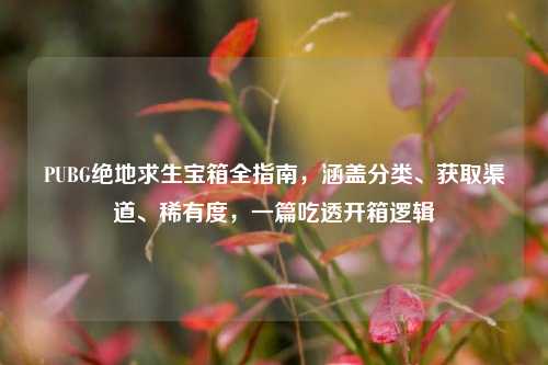 PUBG绝地求生宝箱全指南，涵盖分类、获取渠道、稀有度，一篇吃透开箱逻辑
