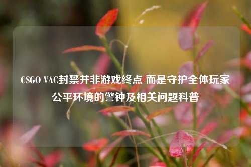 CSGO VAC封禁并非游戏终点 而是守护全体玩家公平环境的警钟及相关问题科普