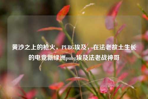 黄沙之上的枪火，PUBG埃及，在法老故土生长的电竞新绿洲pubg埃及法老战神哥
