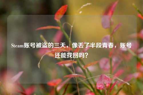 Steam账号被盗的三天,像丢了半段青春,账号还能找回吗?