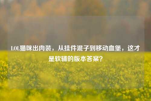 LOL猫咪出肉装,从挂件混子到移动血堡,这才是软辅的版本答案?