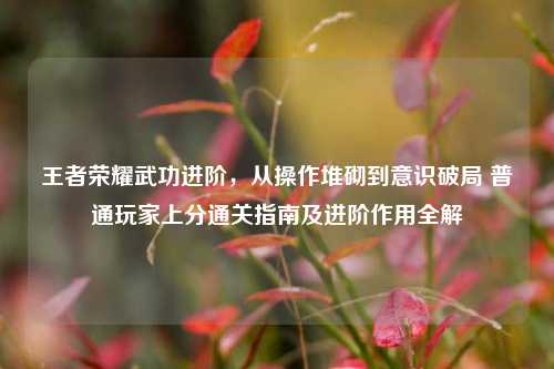 王者荣耀武功进阶,从操作堆砌到意识破局 普通玩家上分通关指南及进阶作用全解