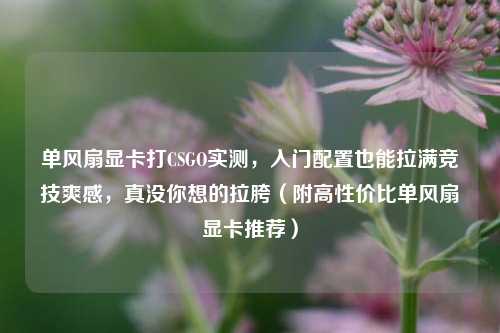 单风扇显卡打CSGO实测,入门配置也能拉满竞技爽感,真没你想的拉胯(附高性价比单风扇显卡推荐)