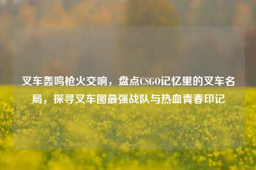 叉车轰鸣枪火交响,盘点CSGO记忆里的叉车名局,探寻叉车图最强战队与热血青春印记