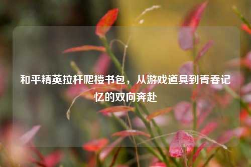 和平精英拉杆爬楼书包,从游戏道具到青春记忆的双向奔赴