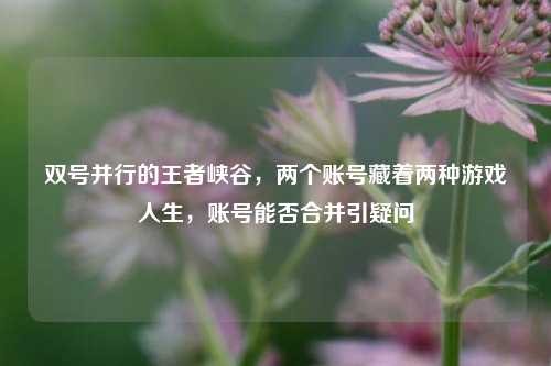 双号并行的王者峡谷,两个账号藏着两种游戏人生,账号能否合并引疑问