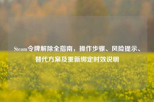 Steam令牌解除全指南，操作步骤、风险提示、替代方案及重新绑定时效说明