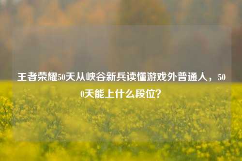王者荣耀50天从峡谷新兵读懂游戏外普通人，500天能上什么段位？