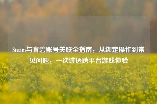 Steam与育碧账号关联全指南,从绑定操作到常见问题,一次讲透跨平台游戏体验