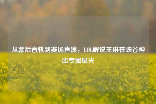 从幕后音轨到赛场声浪,LOL解说王琳在峡谷种出专属星光