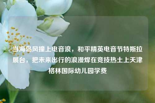 当海岛风撞上电音浪,和平精英电音节特斯拉展台,把未来出行的浪漫焊在竞技热土上天津格林国际幼儿园学费