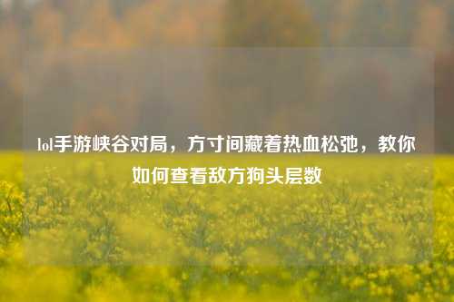 lol手游峡谷对局，方寸间藏着热血松弛，教你如何查看敌方狗头层数