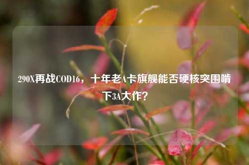 290X再战COD16,十年老A卡旗舰能否硬核突围啃下3A大作?