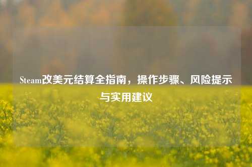 Steam改美元结算全指南,操作步骤、风险提示与实用建议