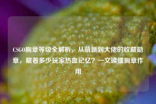 CSGO胸章等级全解析，从萌新到大佬的收藏勋章，藏着多少玩家热血记忆？一文读懂胸章作用