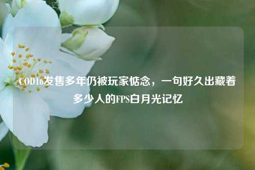 COD16发售多年仍被玩家惦念,一句好久出藏着多少人的FPS白月光记忆