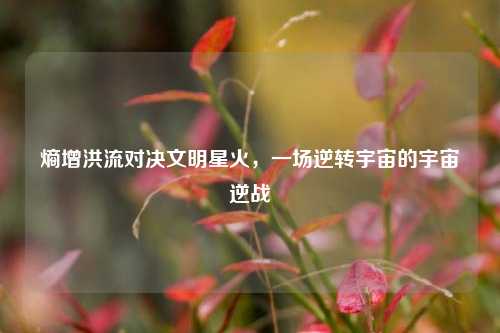 熵增洪流对决文明星火,一场逆转宇宙的宇宙逆战