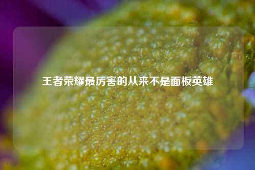 王者荣耀最厉害的从来不是面板英雄
