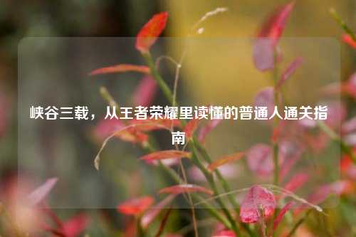峡谷三载，从王者荣耀里读懂的普通人通关指南