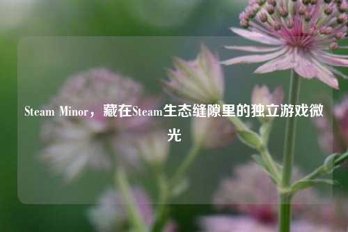 Steam Minor,藏在Steam生态缝隙里的独立游戏微光