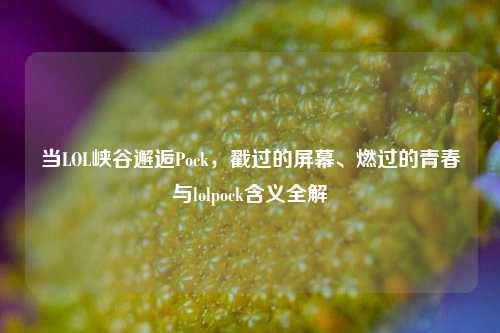 当LOL峡谷邂逅Pock,戳过的屏幕、燃过的青春与lolpock含义全解