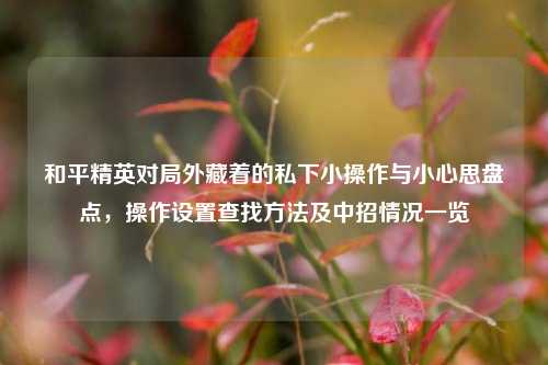 和平精英对局外藏着的私下小操作与小心思盘点，操作设置查找方法及中招情况一览