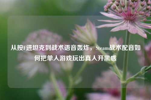 从按F进坦克到战术语音轰炸，Steam战术配音如何把单人游戏玩出真人开黑感