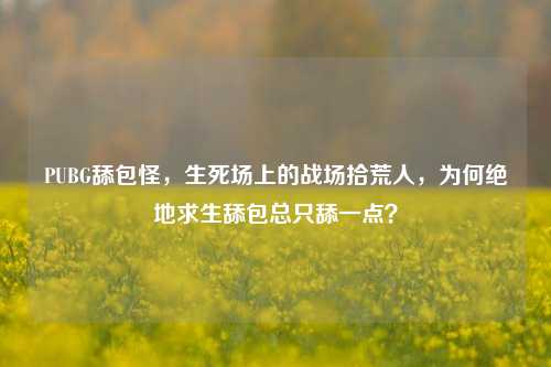 PUBG舔包怪,生死场上的战场拾荒人,为何绝地求生舔包总只舔一点?