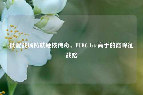 低配战场铸就硬核传奇，PUBG Lite高手的巅峰征战路
