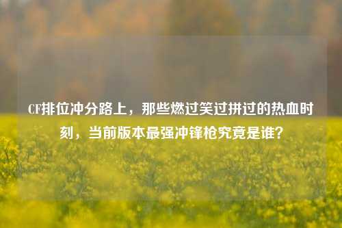 CF排位冲分路上,那些燃过笑过拼过的热血时刻,当前版本最强冲锋枪究竟是谁?