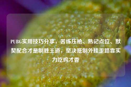 PUBG实用技巧分享,苦练压枪、熟记点位、默契配合才是制胜王道,坚决抵制外挂歪路靠实力吃鸡才香