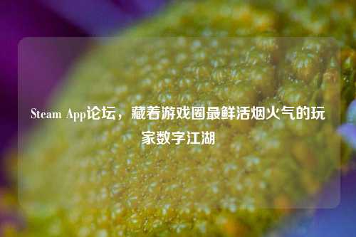 Steam App论坛,藏着游戏圈最鲜活烟火气的玩家数字江湖