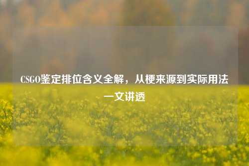 CSGO鉴定排位含义全解,从梗来源到实际用法一文讲透