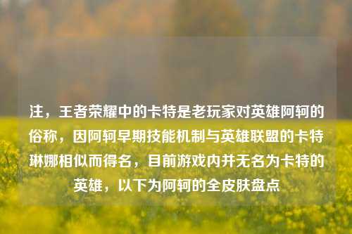 注,王者荣耀中的卡特是老玩家对英雄阿轲的俗称,因阿轲早期技能机制与英雄联盟的卡特琳娜相似而得名,目前游戏内并无名为卡特的英雄,以下为阿轲的全皮肤盘点