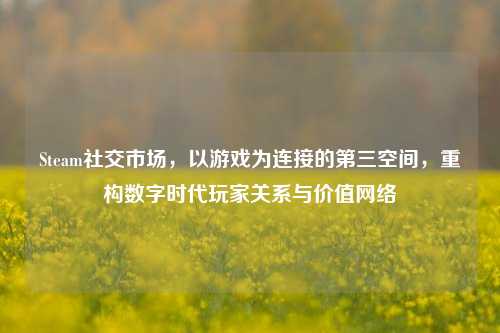 Steam社交市场,以游戏为连接的第三空间,重构数字时代玩家关系与价值网络
