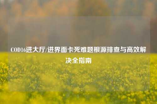 COD16进大厅/进界面卡死难题根源排查与高效解决全指南