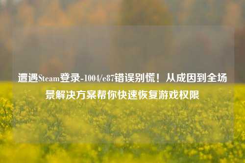 遭遇Steam登录-1004/e87错误别慌!从成因到全场景解决方案帮你快速恢复游戏权限