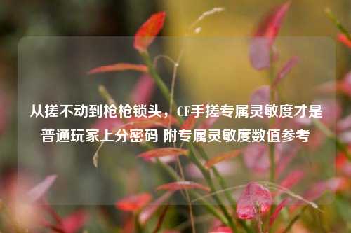 从搓不动到枪枪锁头,CF手搓专属灵敏度才是普通玩家上分密码 附专属灵敏度数值参考